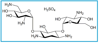 Kanamycin B Sulfate